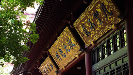 郑州大观音寺祈福许愿烧香拜佛视频素材模板下载