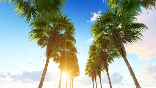 夏威夷海滩上的一排排棕榈树