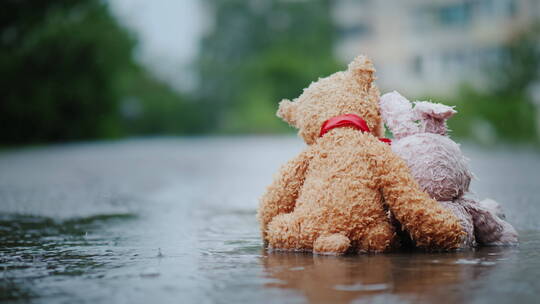 兔子和小熊玩偶坐在雨天路上视频素材模板下载