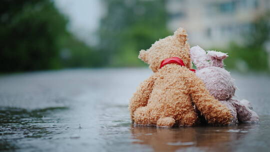 兔子和小熊玩偶坐在雨天路上