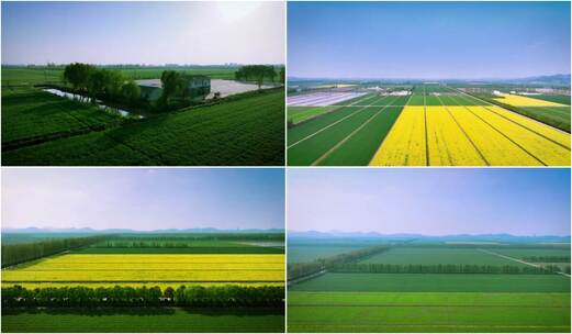 春天航拍中国北方粮仓北大荒农场高清在线视频素材下载