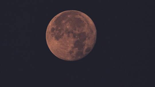 纯月落大月亮