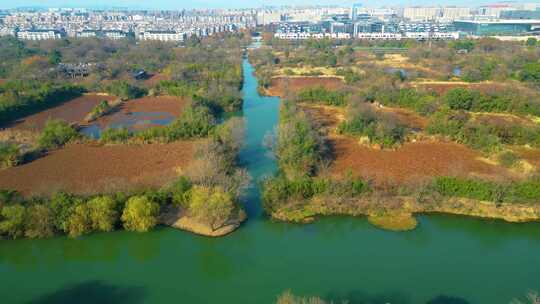 杭州西湖区西溪湿地自然风景视频素材