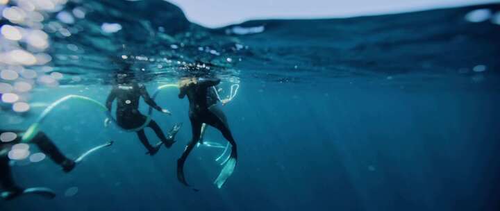 海洋，浮潜，海，潜水员