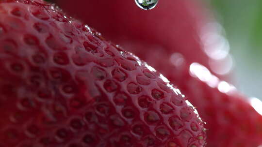 草莓上水滴的慢镜头特写