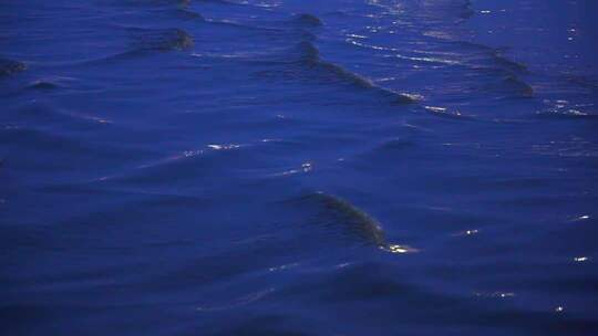 海面波浪夜景慢镜头