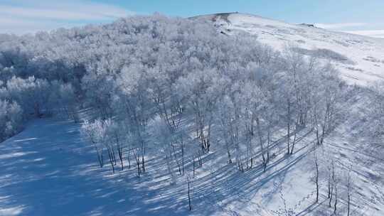 乌兰布统雾凇雪景雪林航拍