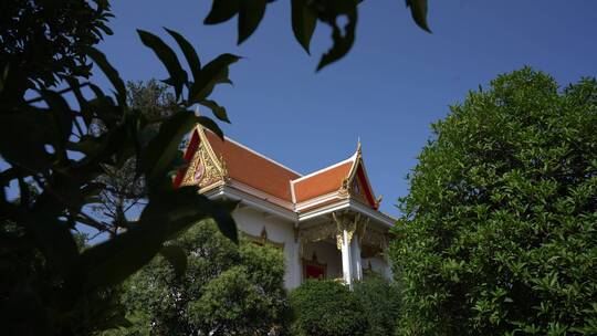 洛阳白马寺国际佛殿泰国寺庙古建筑光影