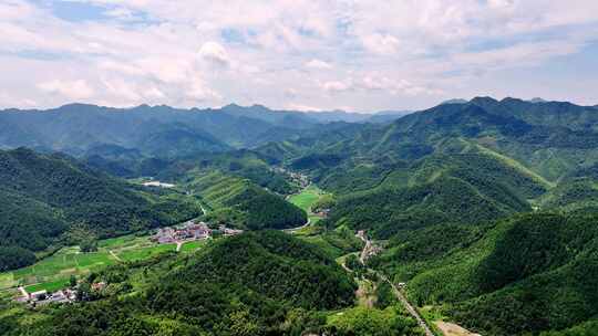 航拍江南浙江山区竹林竹海竹山