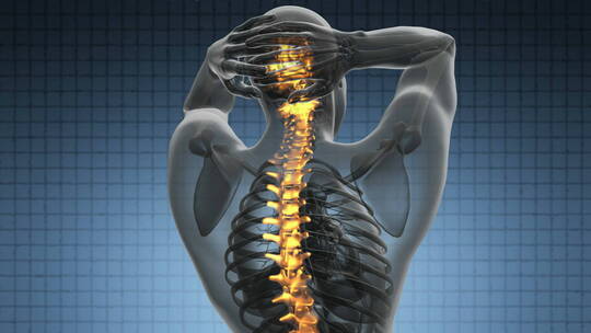 脊椎。背痛。人类脊柱骨骼发光的科学解剖扫描
