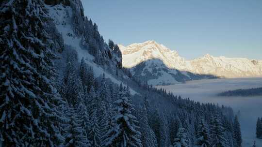 航拍冬天雪山森林雪景大雪小雪大寒小寒