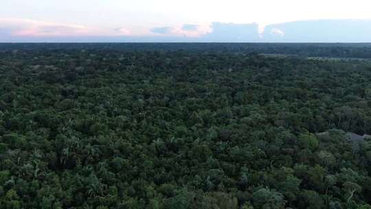 秘鲁亚马逊雨林的无人机鸟瞰图显示，多云时视频素材模板下载