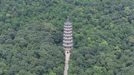 双镜头航拍灵谷寺灵谷塔