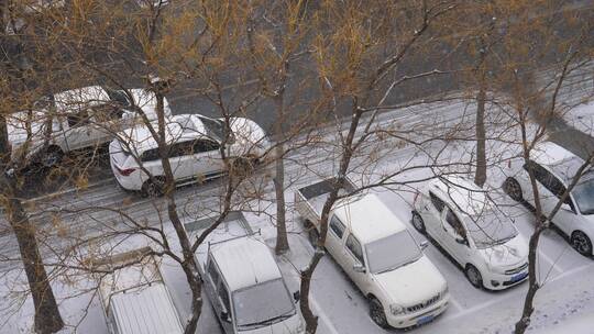 冬天下雪视频素材模板下载