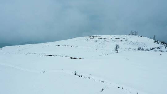 冬季白雪覆盖山川田野