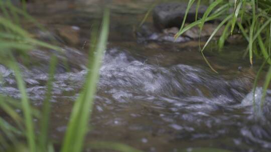 河谷大自然山泉水