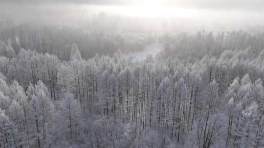 林海雪原雾凇暖阳视频素材模板下载