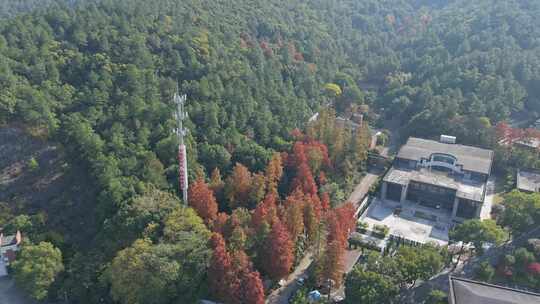 杭州临平区临平山公园秋天景色