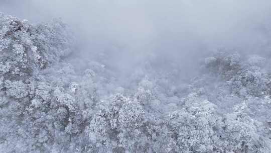 伏牛山冬季雪景云海雾凇