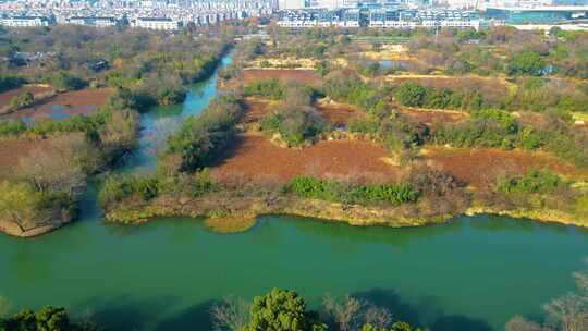 杭州西湖区西溪湿地风光风景视频素材