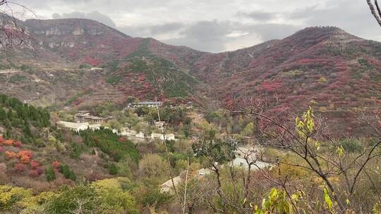 济南南部山区天井峪村红叶满山