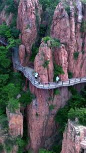 自然风光，森林，治愈系风景，摄影，意境