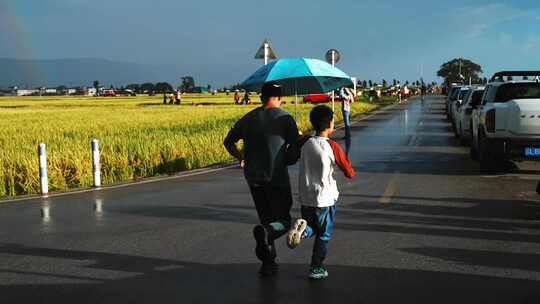 雨后双彩虹行人雨中奔跑喜洲稻田游客旅游