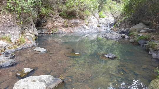 平静溪水