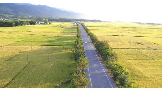 镇安至瑞丽公路弄璋段秋景