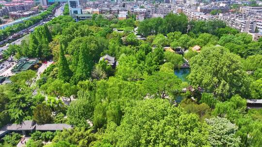 趵突泉济南市历下区航拍风景景区城市地标山