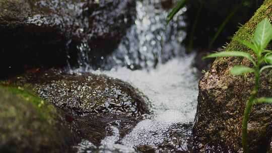 山涧山泉水清泉流水