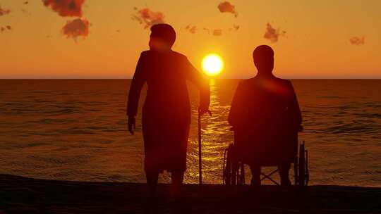 夕阳下老年夫妇海边看海剪影视频素材模板下载