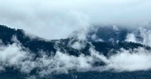 【4K】武夷山云雾自然风光山水画飞鸟