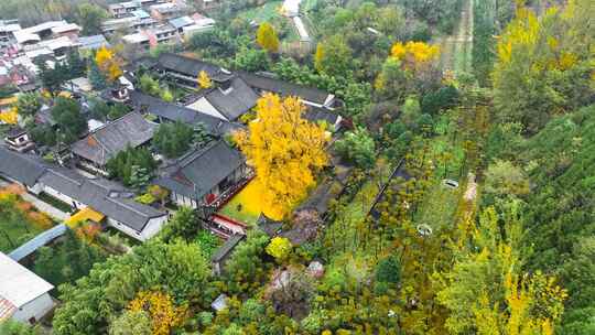 西安古观音禅寺