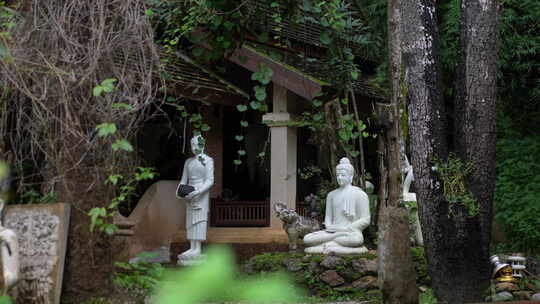 泰国清迈曼谷寺庙树林森林高山佛像