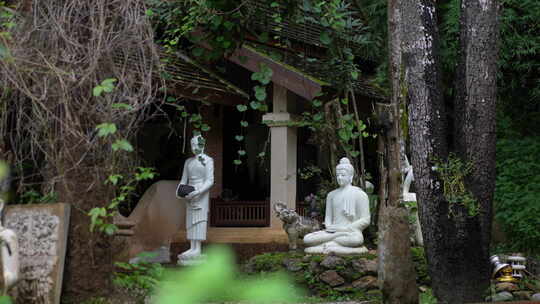 泰国清迈曼谷寺庙树林森林高山佛像视频素材模板下载