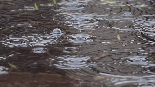 下雨天的水池