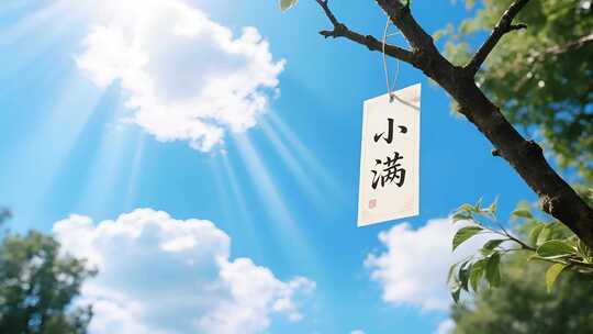 小满节气自然风光传统节日夏天