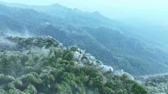 蔡伦竹海旅游风景区