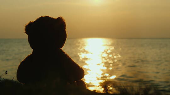 看海上日出的泰迪熊剪影
