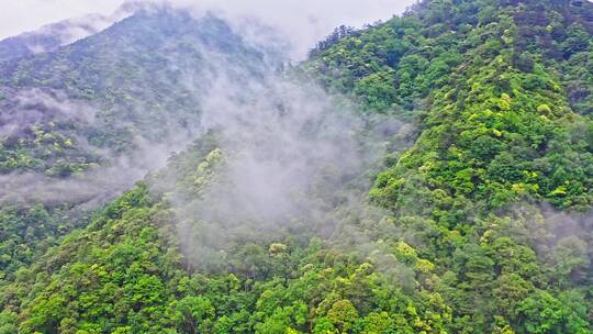 大山山脉云雾蒸气飘散右环绕