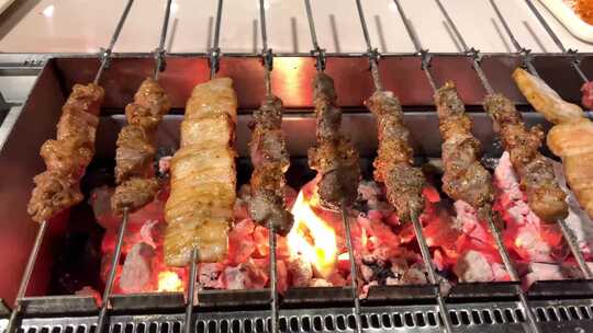 烤肉 烧烤 烤串 露天烧烤 露营 野餐