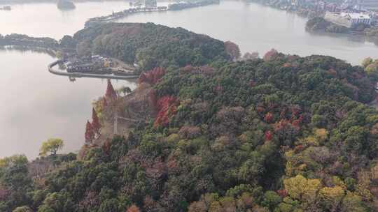 新余城市全景俯瞰视角下的密集建筑群