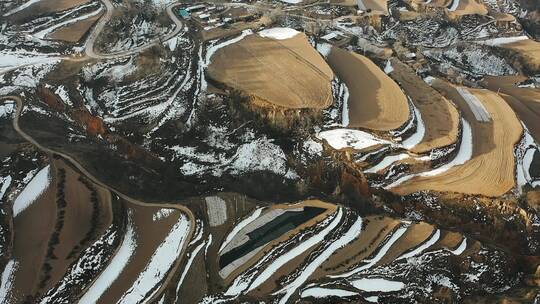 雪后的梯田·2