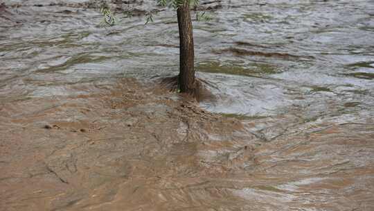 实拍暴雨后洪水 山洪  泥石流