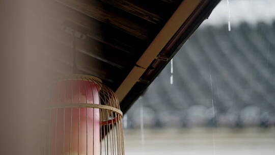 江南雨季下雨情绪意境空境素材