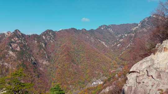 南阳老界岭秋景风光