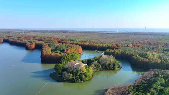 上海奉贤海湾国家森林公园  奉贤湿地公园