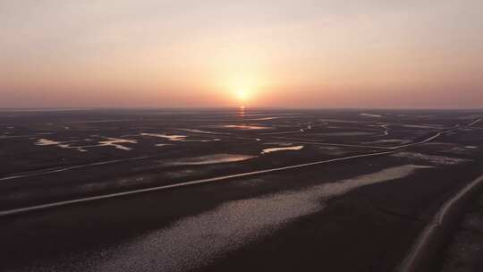 黄河入海口湿地