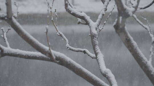 冬季雪景 城市初雪 下雪空镜